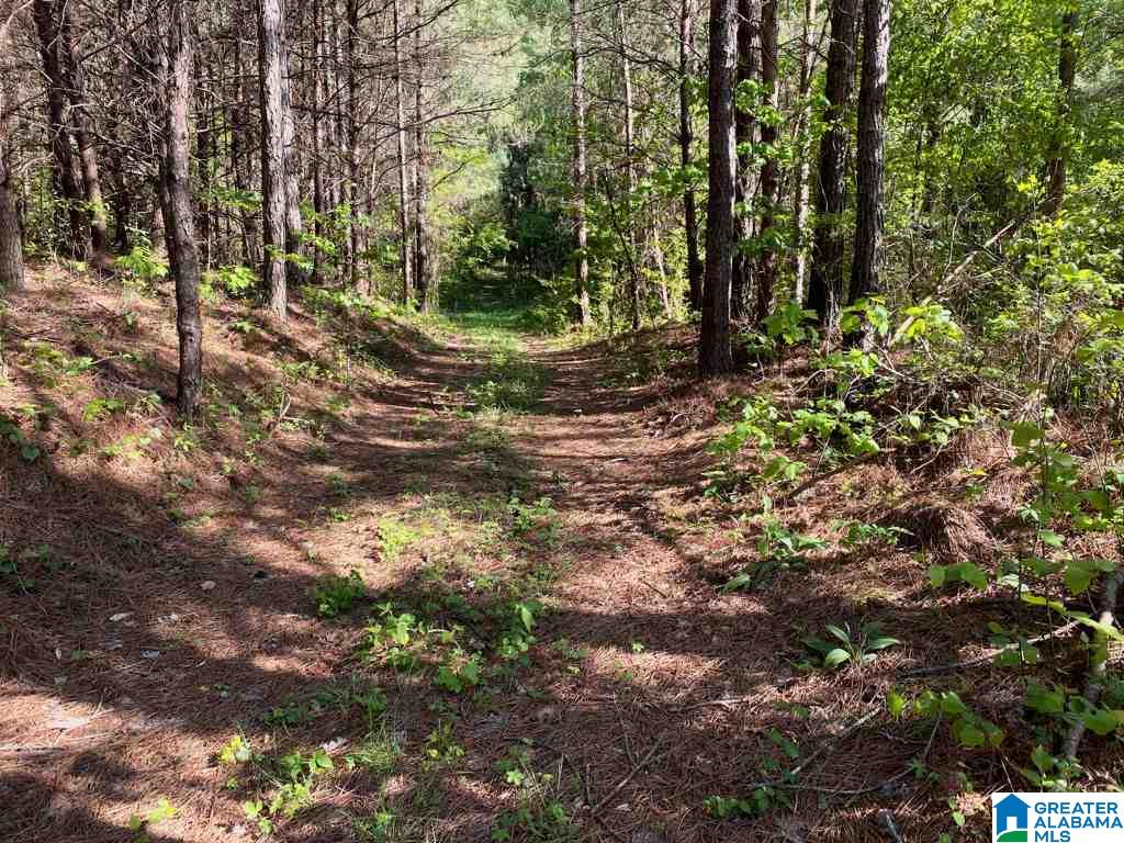 565 County Road, Unit DODGE Hanceville, AL 35077 - Photo 1 of 4