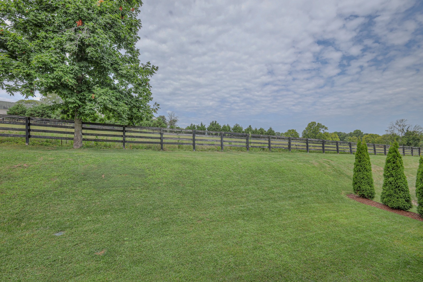255 Circuit Road Franklin, TN 37064 - Photo 45 of 56 Backyard
