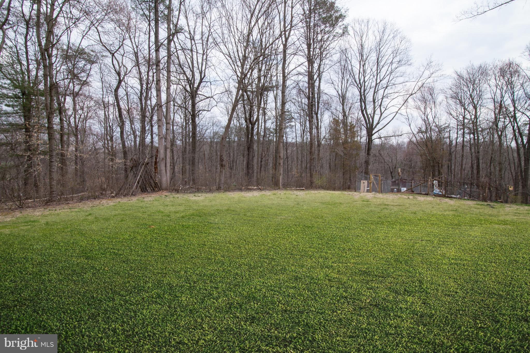 3046 Rocks Road Jarrettsville, MD 21084 - Photo 24 of 26 Large side yard with garden and obstacle course!