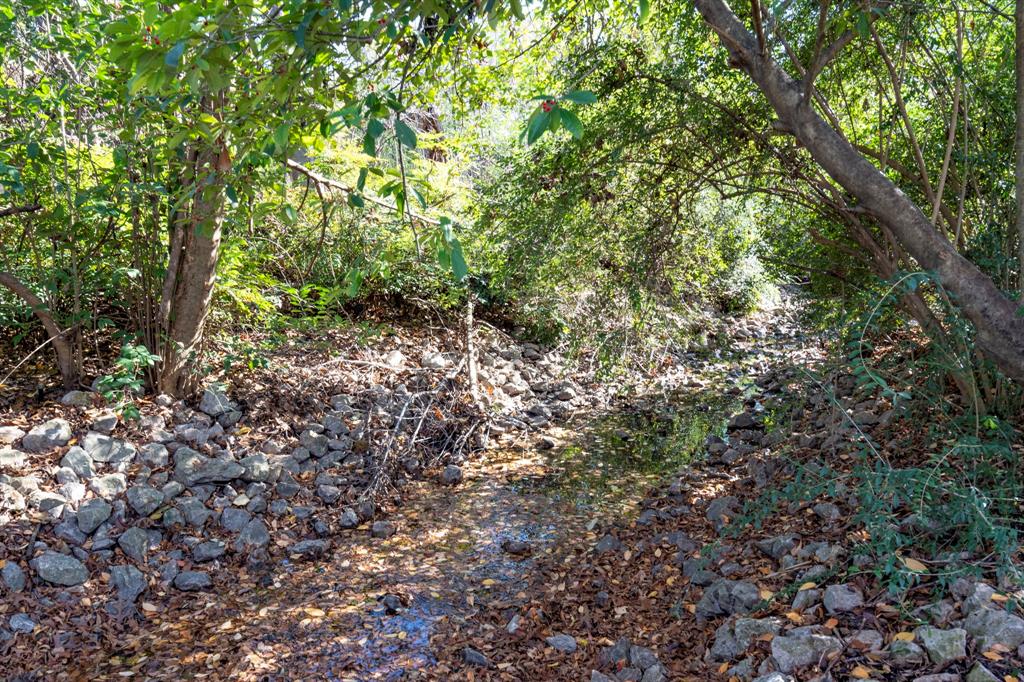 8530 Jourdan Way Dallas, TX 75225 - Photo 39 of 39 View of tree filled area