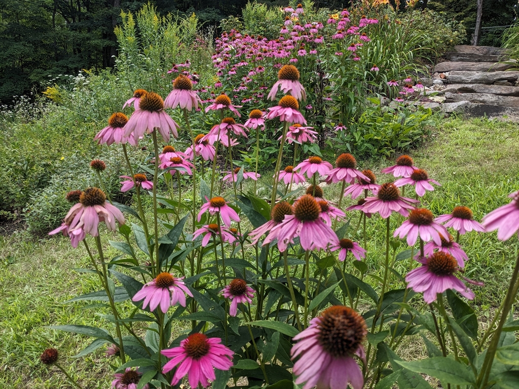 149 New Ipswich Road Ashby, MA 01431 - Photo 36 of 38