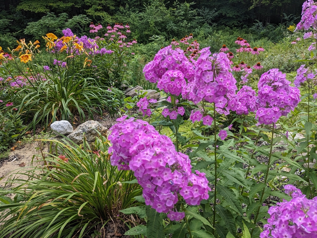 149 New Ipswich Road Ashby, MA 01431 - Photo 37 of 38