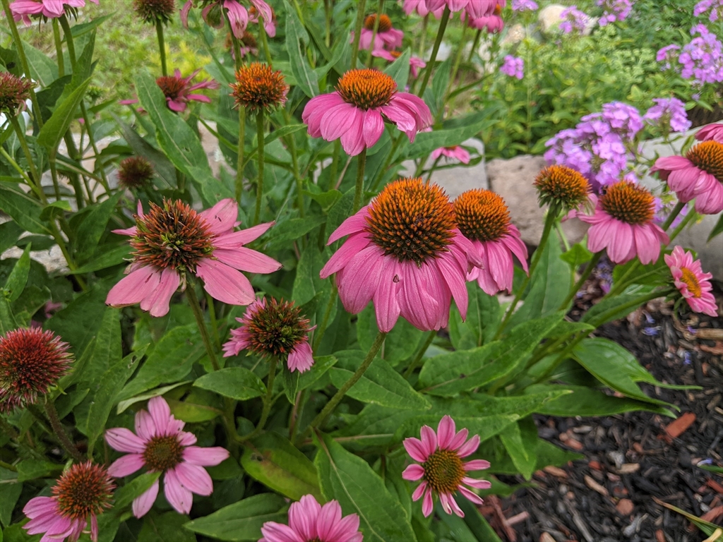 149 New Ipswich Road Ashby, MA 01431 - Photo 38 of 38