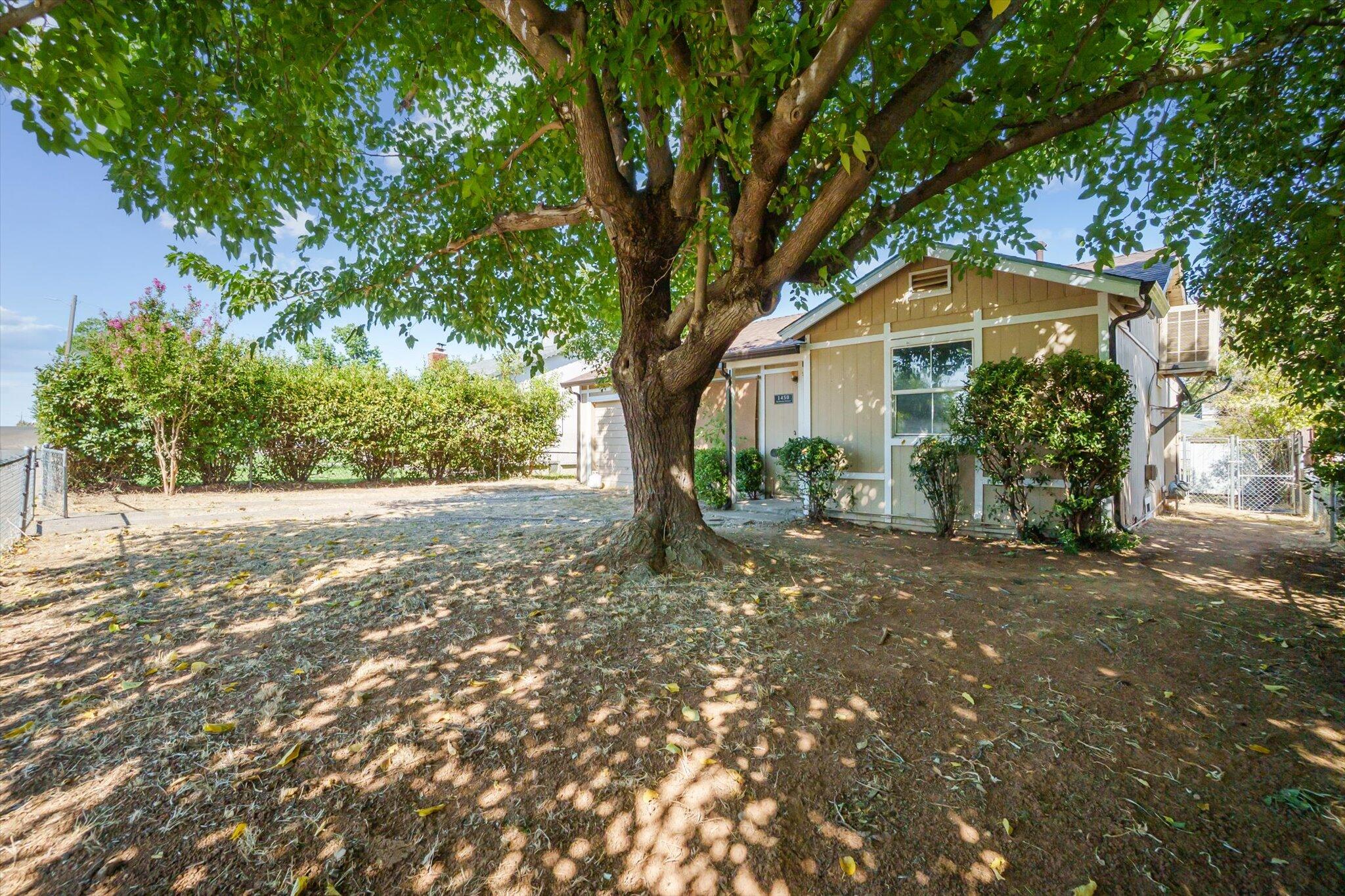 1450 Bulkeley Street Red Bluff, CA 96080 - Photo 19 of 21 a view of house with a tree in front of it