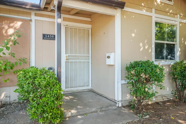 view of a potted plant in front of a glass door