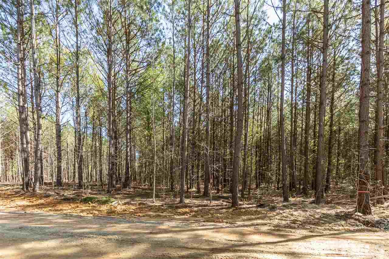Iowa Dr Ranch Road Clayton, NC 27520 - Photo 3 of 5 Gallery Image 3