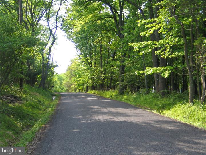 0 Covered Bridge Road Pipersville, PA 18947 - Photo 2 of 4
