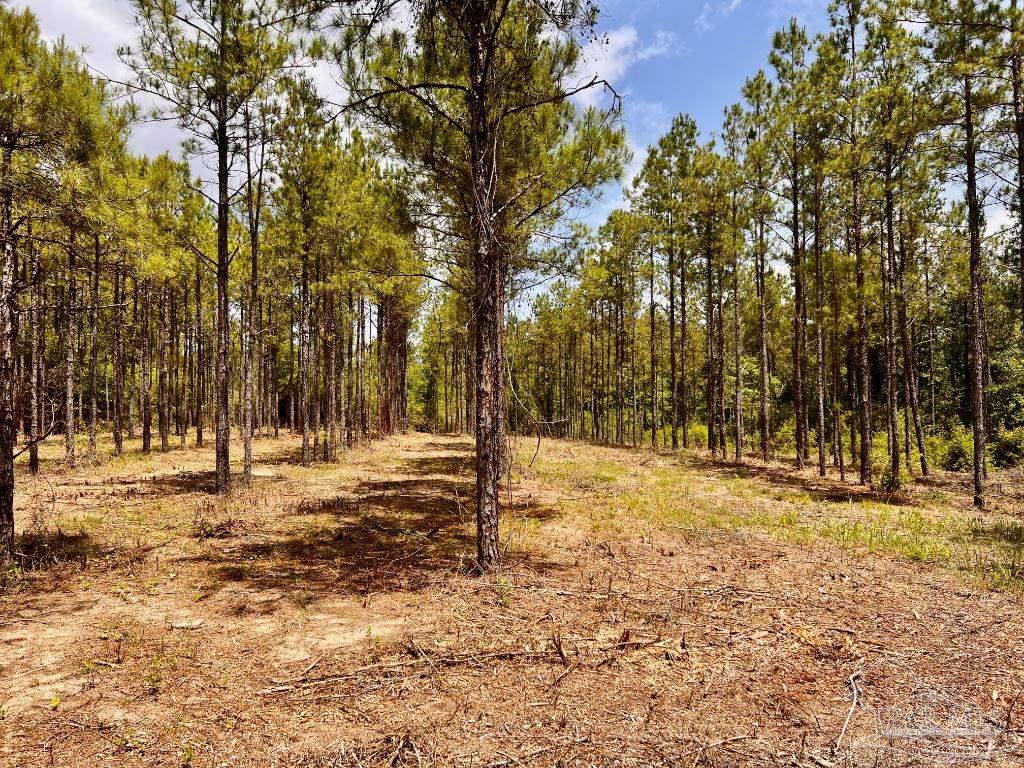 Lot 95 Turning Leaf Road Milton, FL 32571 - Photo 13 of 42 Gallery Image 13