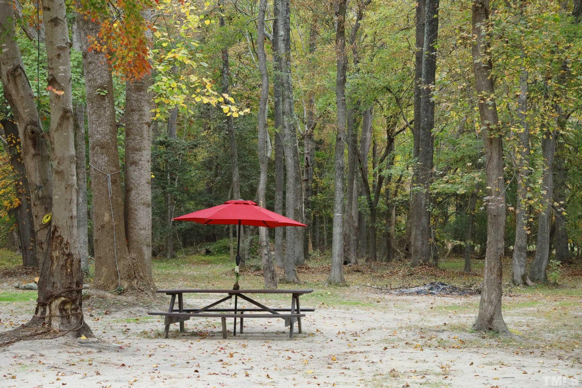924 Currin Perry Road Zebulon, NC 27597 - Photo 35 of 40 Gallery Image 35