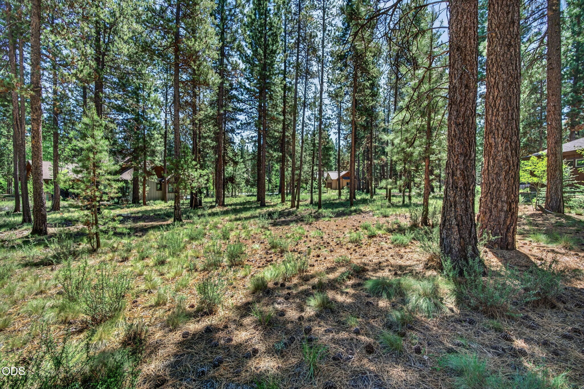 56288 Trailmere Circle Bend, OR 97707 - Photo 3 of 31