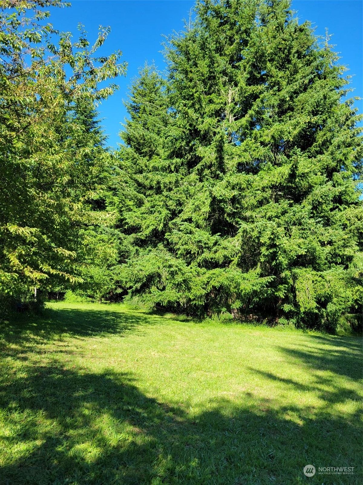 119-13 Peterson Road, Unit 13 Chehalis, WA 98532 - Photo 26 of 31 a view of a garden with a lake