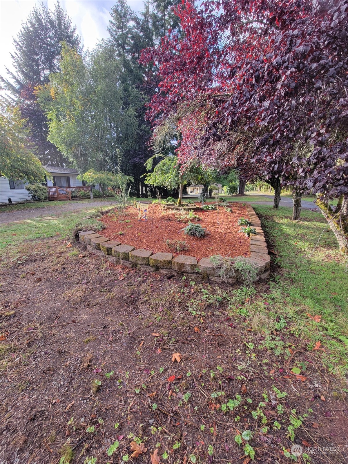 119-13 Peterson Road, Unit 13 Chehalis, WA 98532 - Photo 28 of 31 a view of outdoor space with trees all around