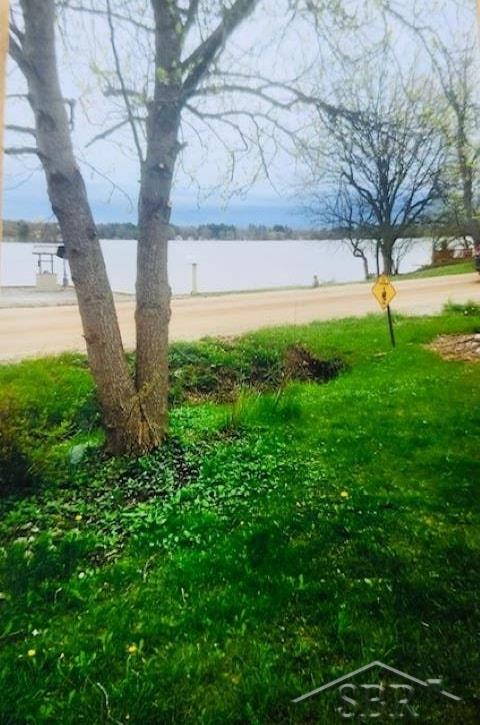 5456 Mangus Road Beaverton, MI 48612 - Photo 5 of 24