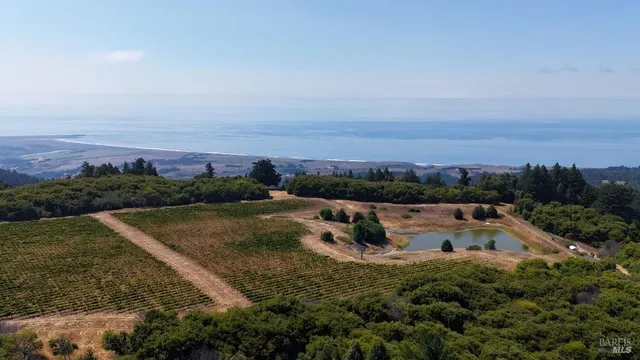 $3,000,000 | 39000 Crispin Road, Manchester, CA 95459