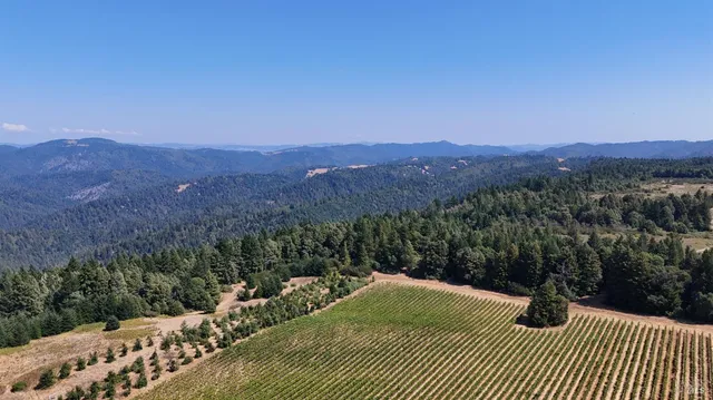 $3,000,000 | 39000 Crispin Road, Manchester, CA 95459