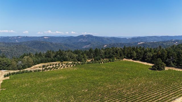 $3,000,000 | 39000 Crispin Road, Manchester, CA 95459