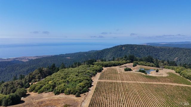 $3,000,000 | 39000 Crispin Road, Manchester, CA 95459