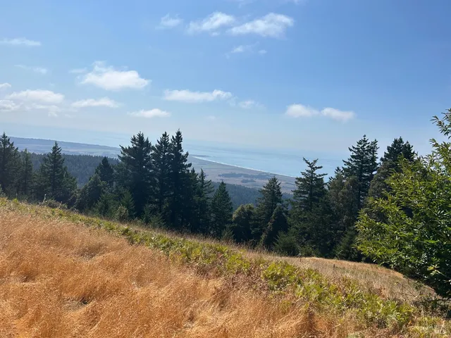 $3,000,000 | 39000 Crispin Road, Manchester, CA 95459