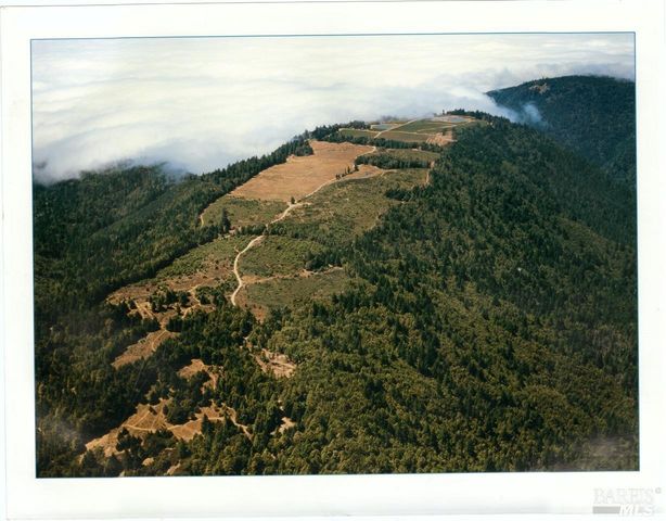 $3,000,000 | 39000 Crispin Road, Manchester, CA 95459