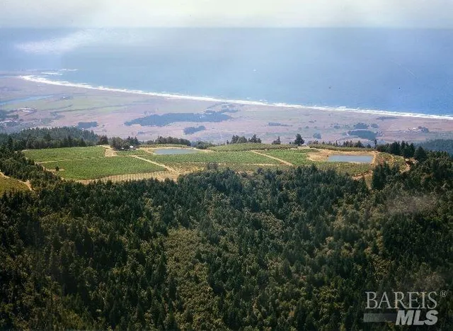 $3,000,000 | 39000 Crispin Road, Manchester, CA 95459