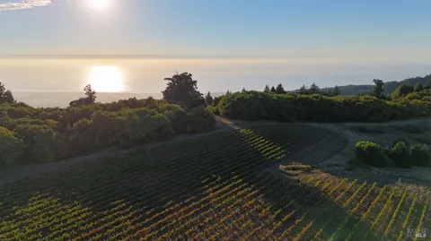 $3,000,000 | 39000 Crispin Road, Manchester, CA 95459