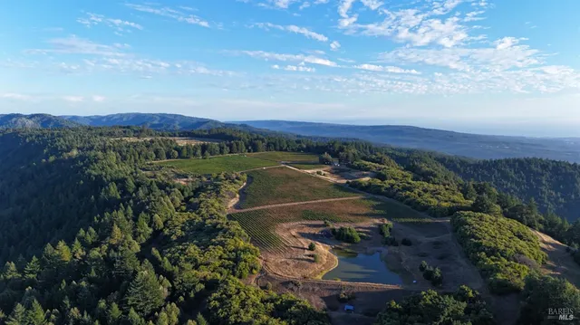 $3,000,000 | 39000 Crispin Road, Manchester, CA 95459