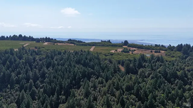 $3,000,000 | 39000 Crispin Road, Manchester, CA 95459