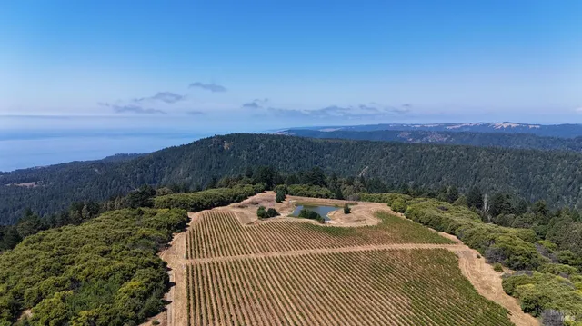$3,000,000 | 39000 Crispin Road, Manchester, CA 95459