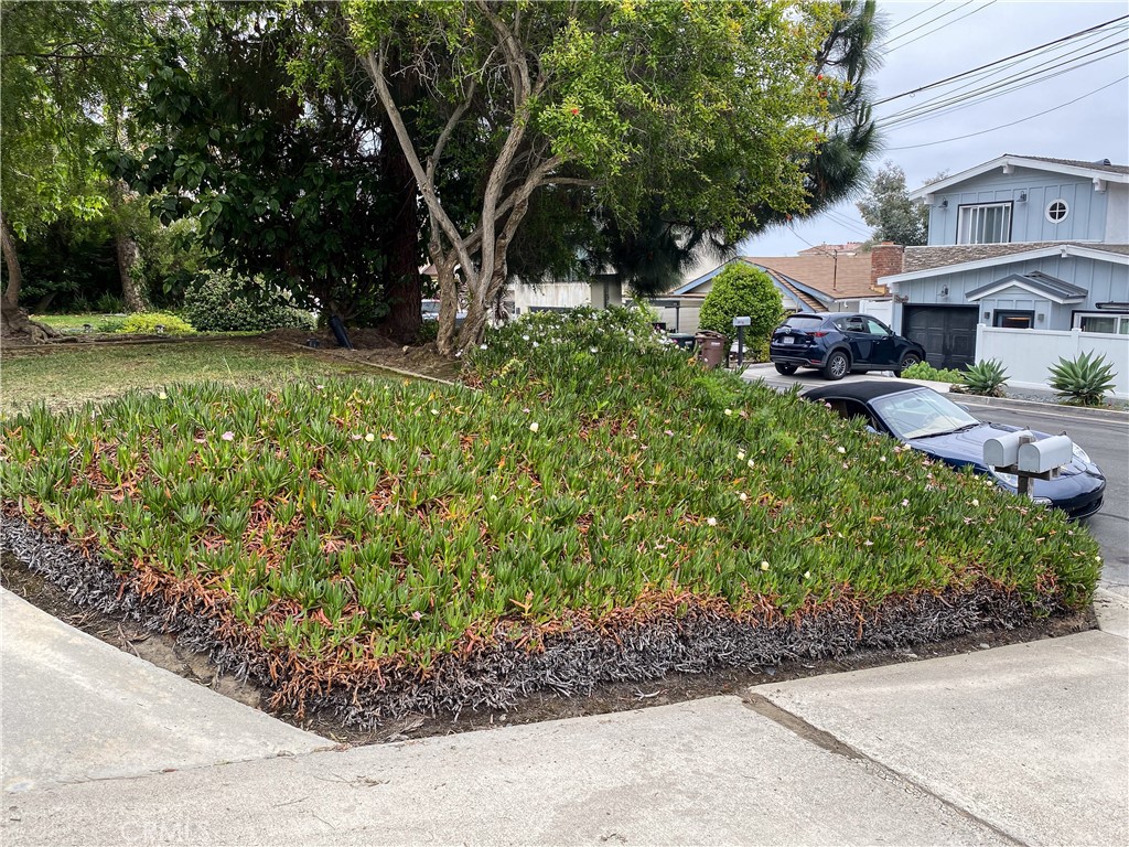 34072 Mazo Drive Dana Point, CA 92629 - Photo 5 of 73 Front of duplex green area