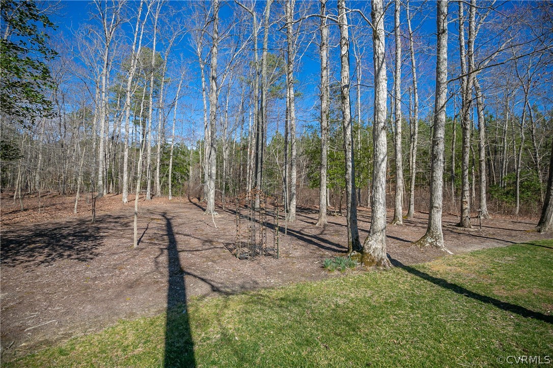 10180 Scots Landing Road Mechanicsville, VA 23116 - Photo 50 of 50 a view of a park with iron fence