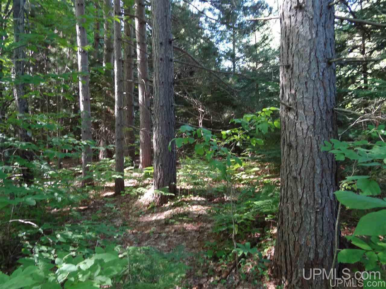 21660 Newberry Road Pelkie, MI 49958 - Photo 36 of 40