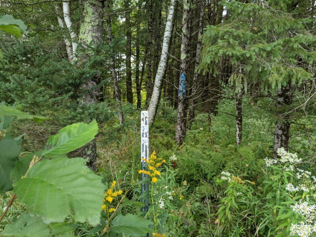 W10589 White Birch Road Kennan, WI 54537 - Photo 3 of 25 Gallery Image 3