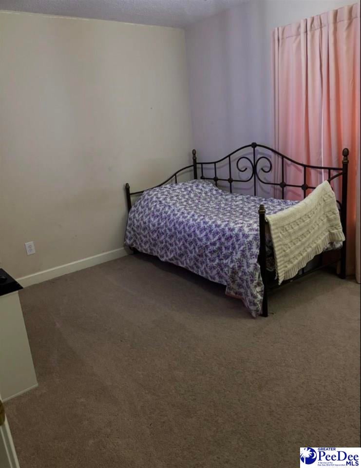 1320 Whippoorwill Road Hartsville, SC 29550 - Photo 10 of 18 Gallery Image 10