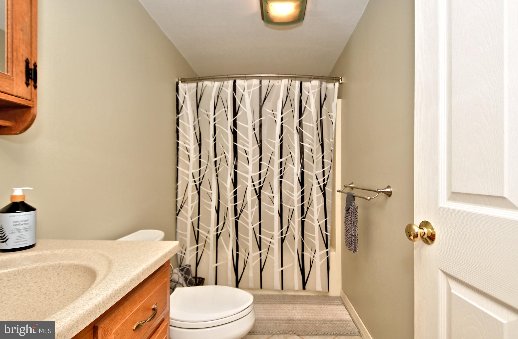 13 Schultz Road Green Lane, PA 18054 - Photo 70 of 110