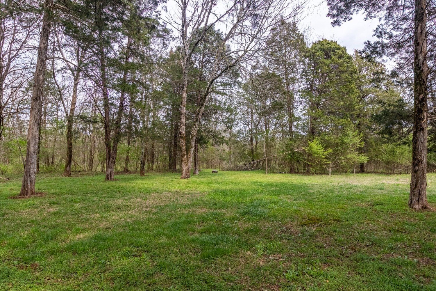 5178 Reynolds Road Columbia, TN 38401 - Photo 8 of 47 Gallery Image 8