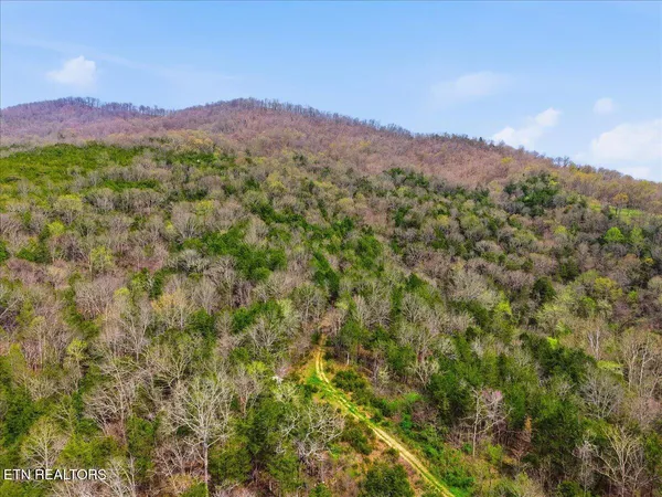 $1,874,000 | 365 Young Lane, Tazewell, TN 37879