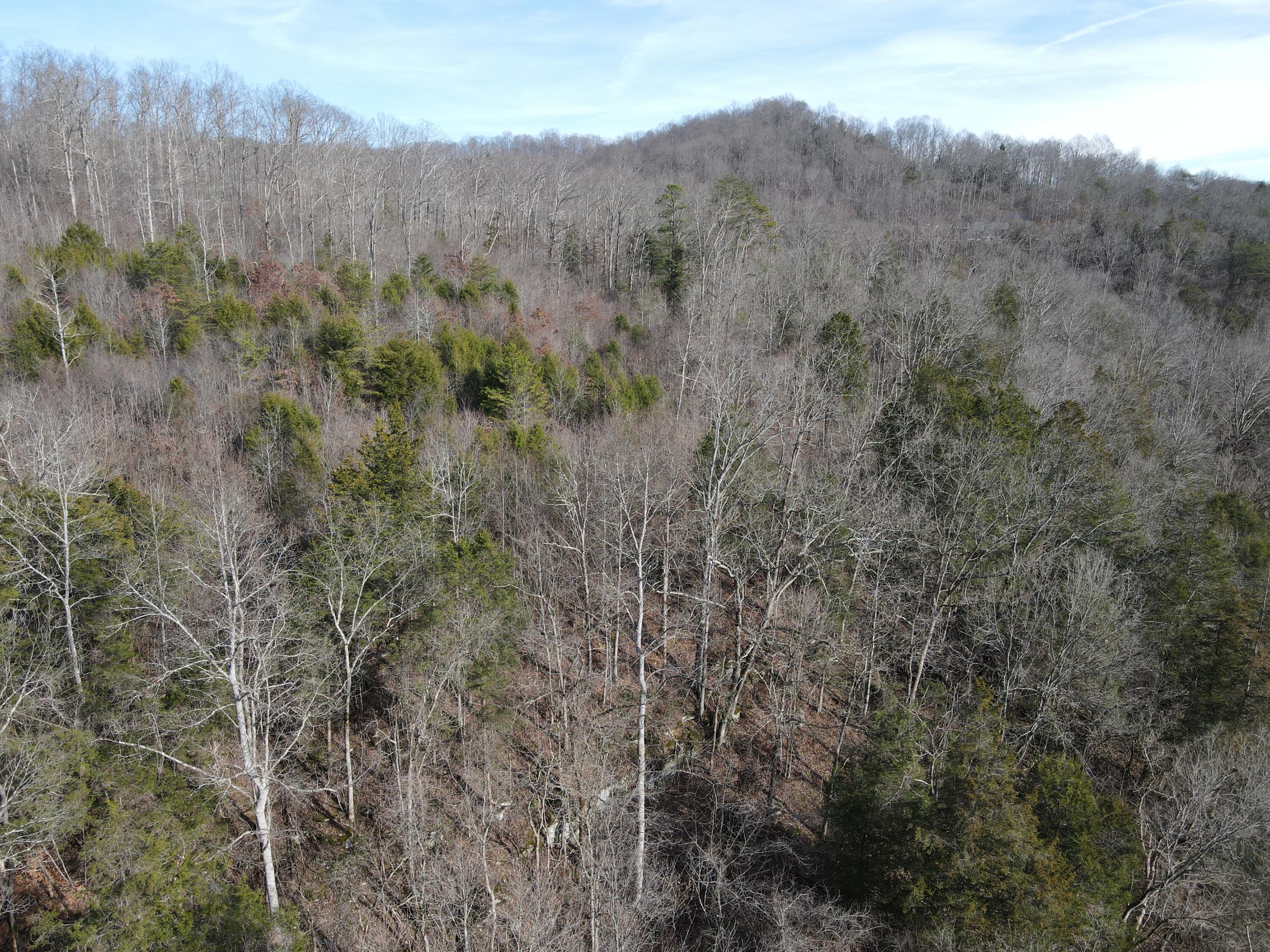 999 Mullins Station Road Livingston, KY 40445 - Photo 8 of 26 DJI_0473