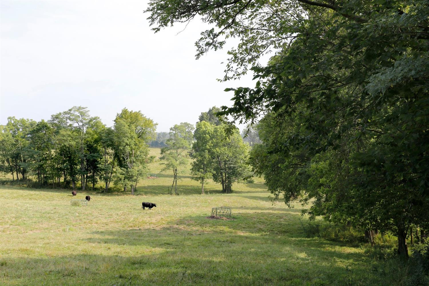 3979 Cynthiana Road Georgetown, KY 40324 - Photo 22 of 33 Photo 22