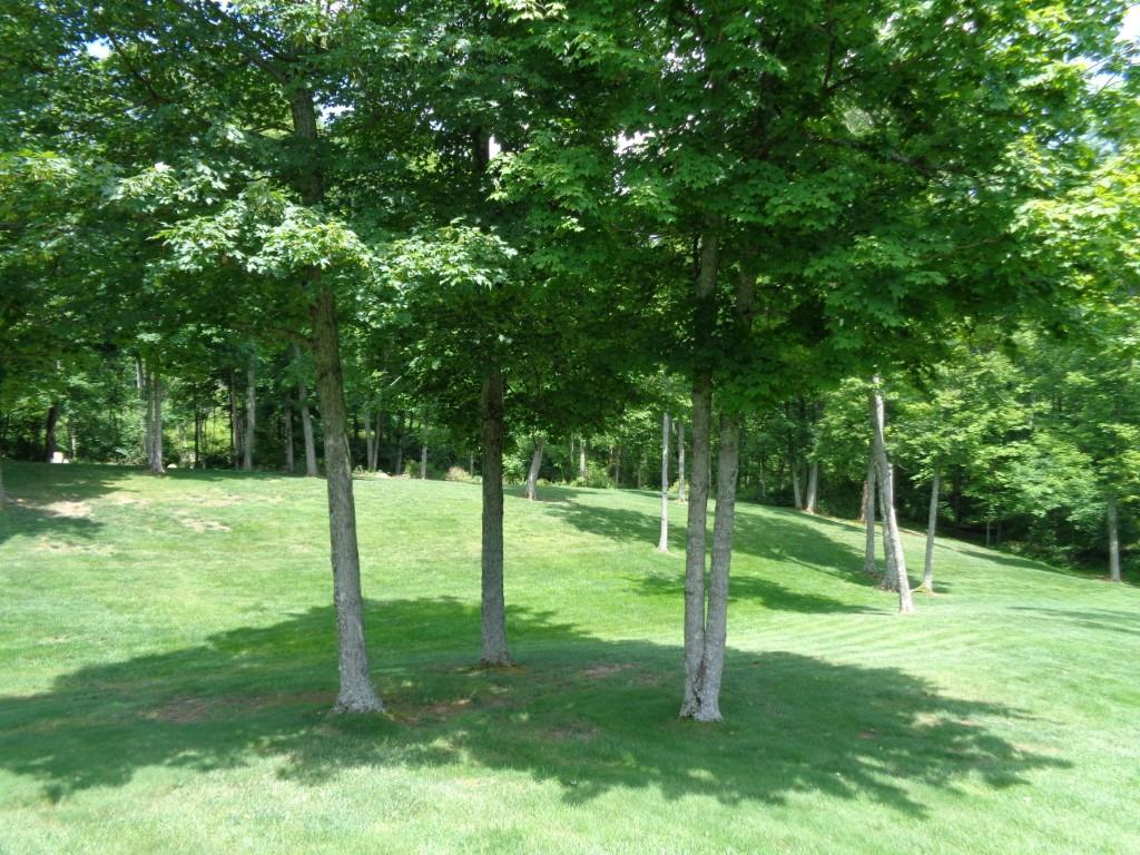 12628 Mason Fancher Road Rising Sun, IN 47040 - Photo 10 of 27