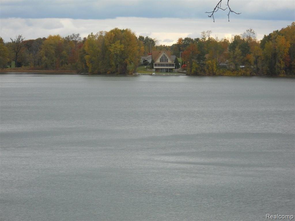 15212 Ripple Drive Linden, MI 48451 - Photo 9 of 23 McCaslin Lk