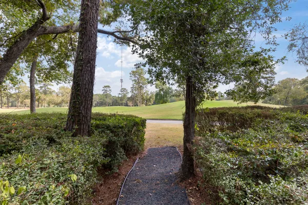 a view of a garden with a tree