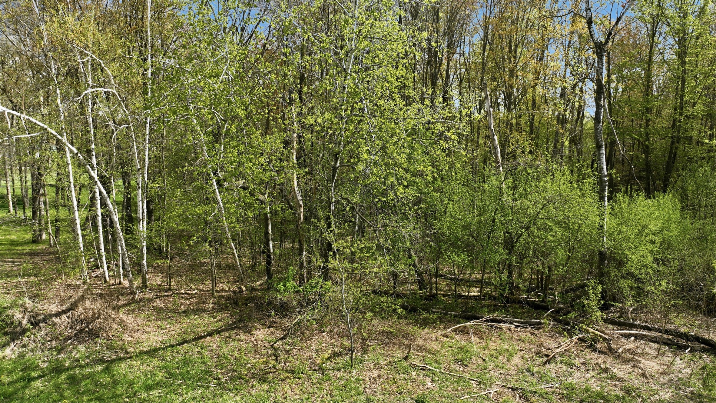 3.42-acres 10th Avenue Chetek, WI 54728 - Photo 15 of 15