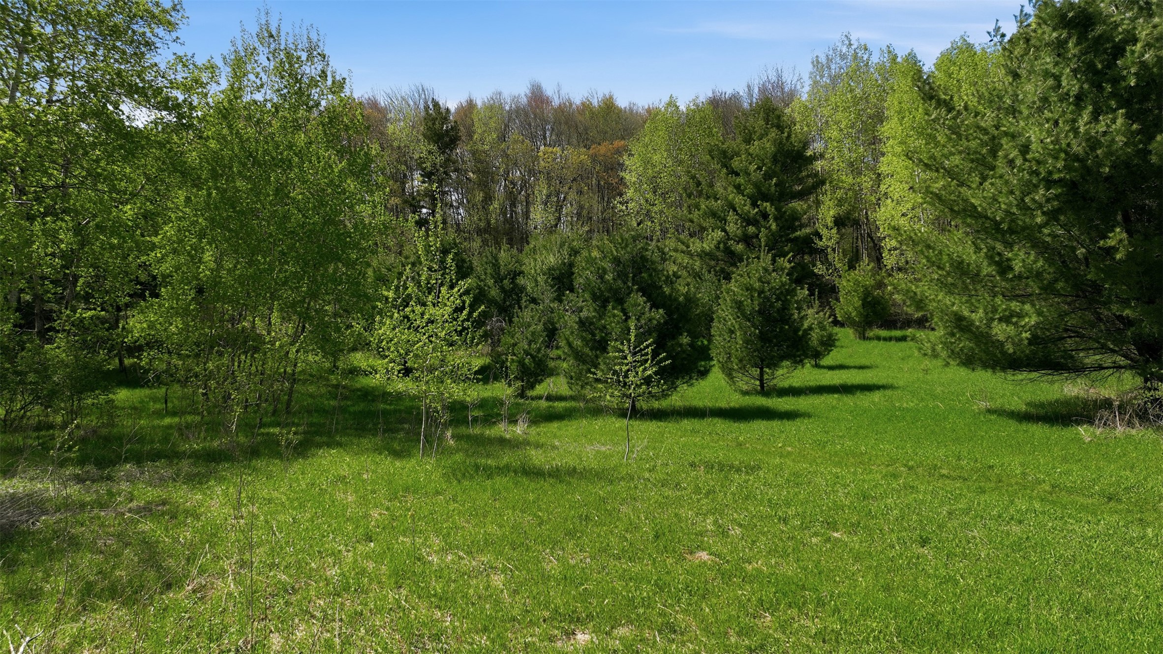 3.42-acres 10th Avenue Chetek, WI 54728 - Photo 4 of 15