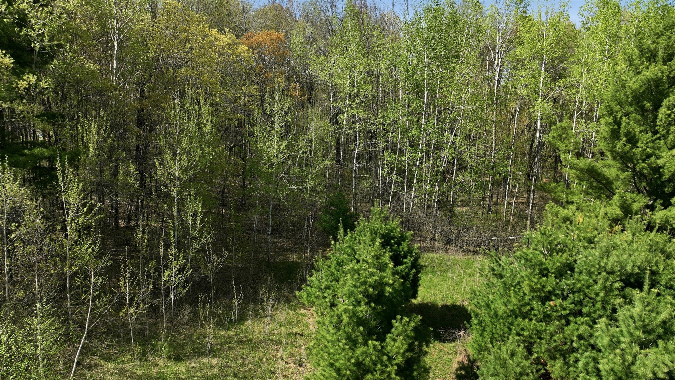3.42-acres 10th Avenue Chetek, WI 54728 - Photo 7 of 15