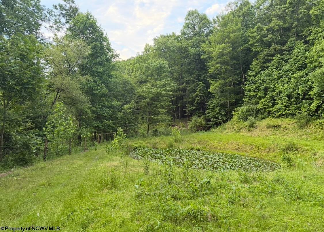 2309 Sassafras Road Weston, WV 26452 - Photo 27 of 32 Gallery Image 27