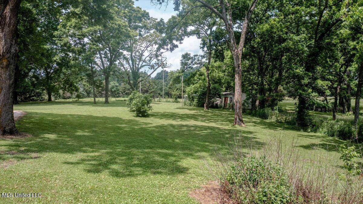 7485 Highway 4 Senatobia, MS 38668 - Photo 29 of 31 35-side yard