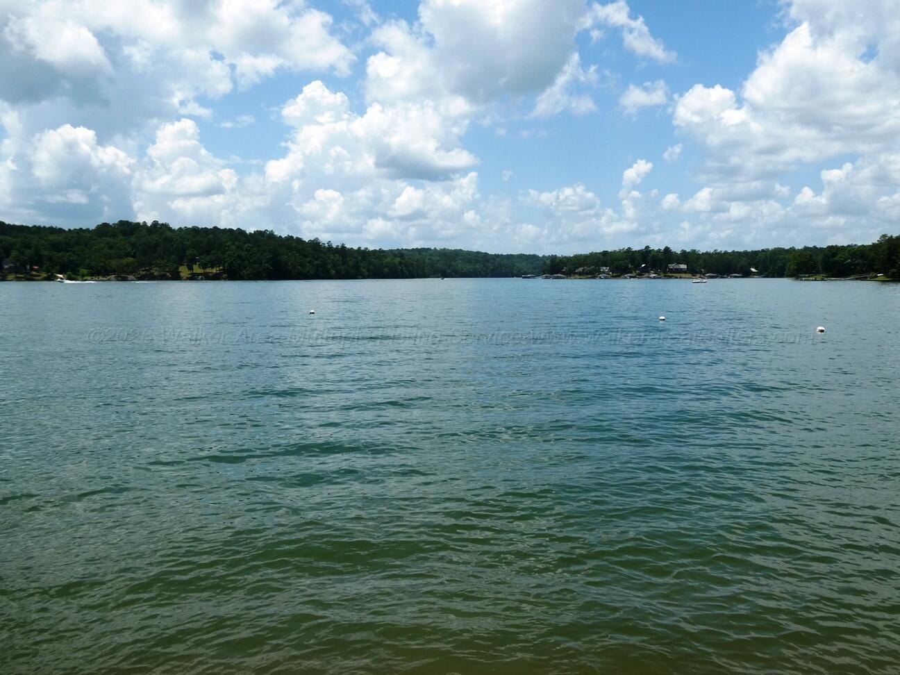 3147 County Road Houston, AL 35572 - Photo 6 of 14 Open Water view from shoreline