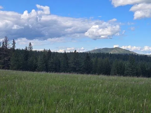 $330,000 | 5266 Wagner Road, Springdale, WA 99173