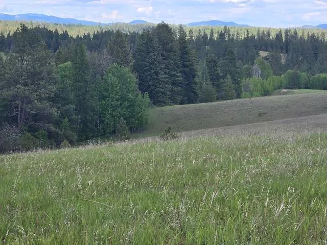 $330,000 | 5266 Wagner Road, Springdale, WA 99173