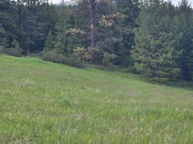 $330,000 | 5266 Wagner Road, Springdale, WA 99173